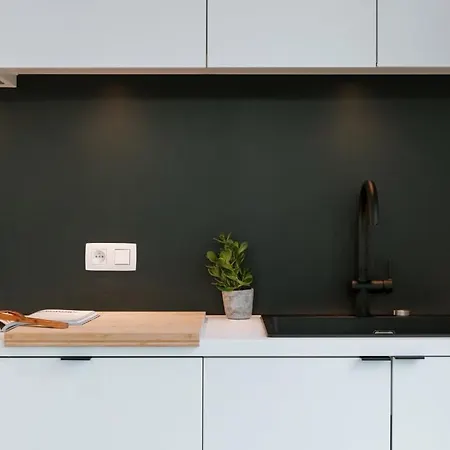 Brand New Pet Friendly With Parking Apartment Ostend